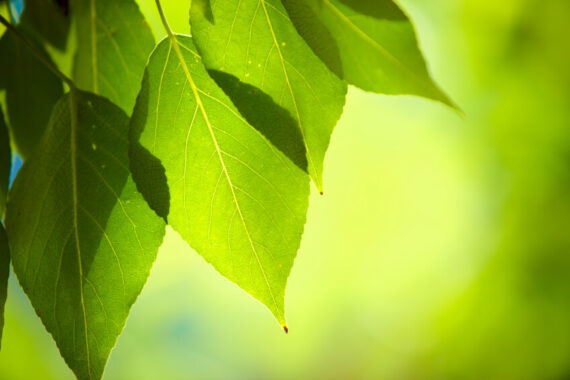 Kennenlern-Nachmittag KomplementärTherapie Wi thumbnail