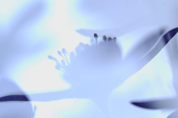 Natural Sound Openair Sw thumbnail