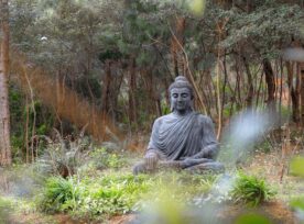 Meditation & Mindfulness image